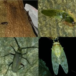 Thumbnail of post image 170